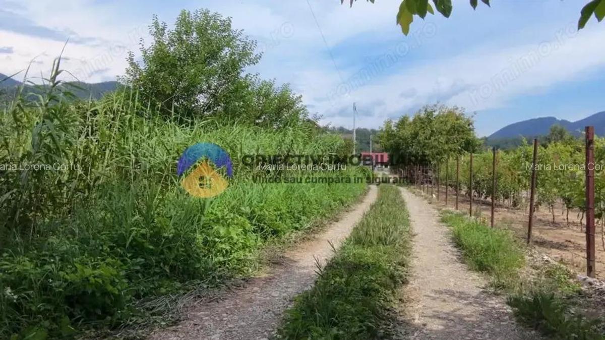 Teren intravilan com. Alexandru cel Bun- Viisoara - 12