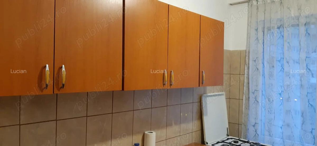 Apartament 2 camere Delfinului - 4