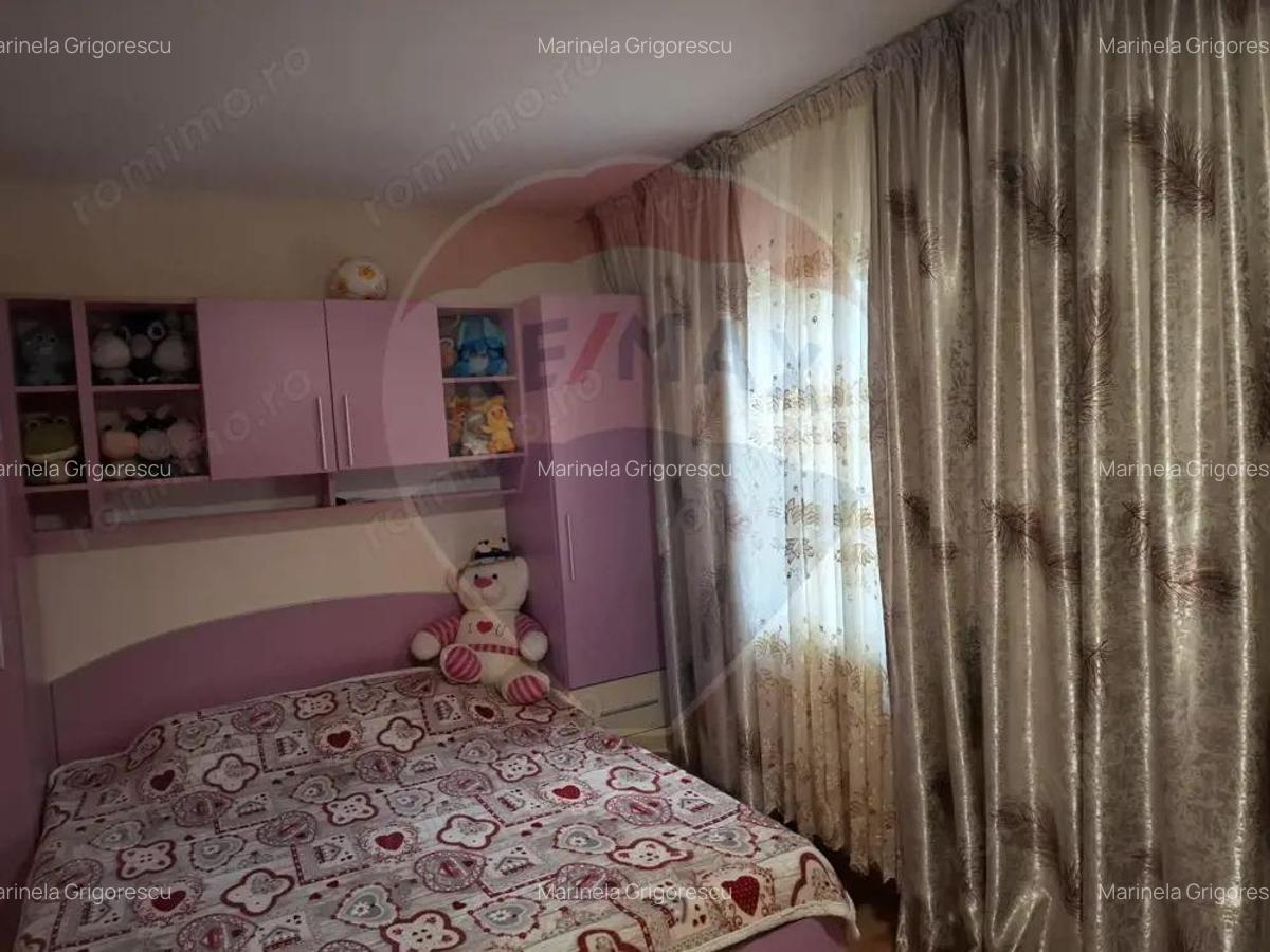 Casa / Vila cu 6 camere de vanzare in zona Calea Severinului - 13