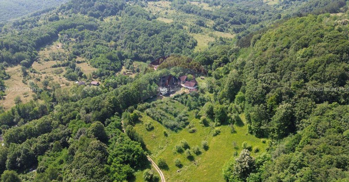 DE VANZARE CASTEL IN MARAMURES - 4