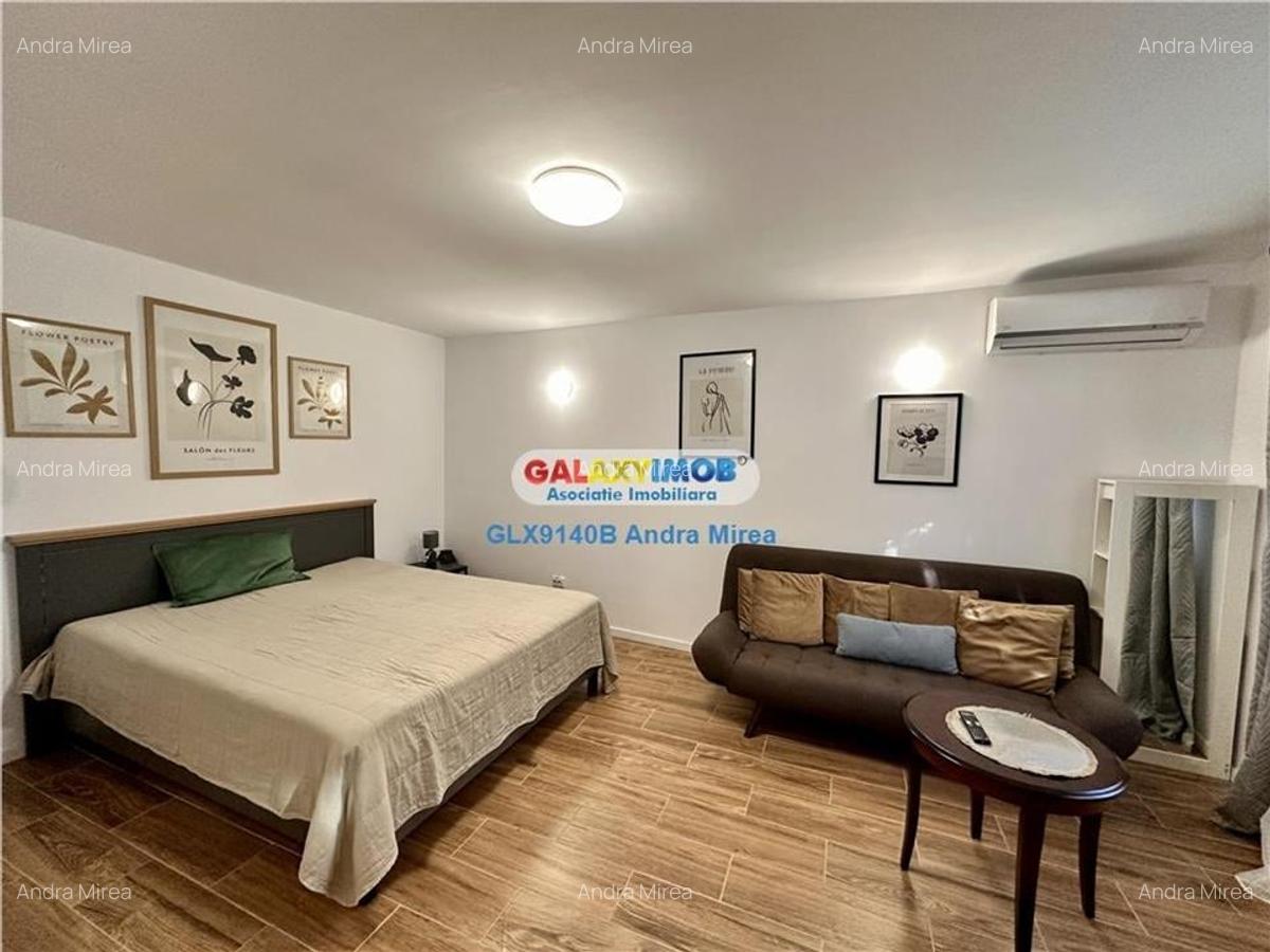 Inchiriere garsoniera IN VILA Piata Victoriei Titulescu CURTE PROPRIE - 1