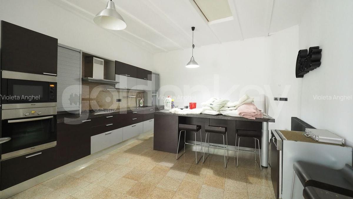 Vila eleganta perfecta pentru resedinta exclusivista/ birouri - 22