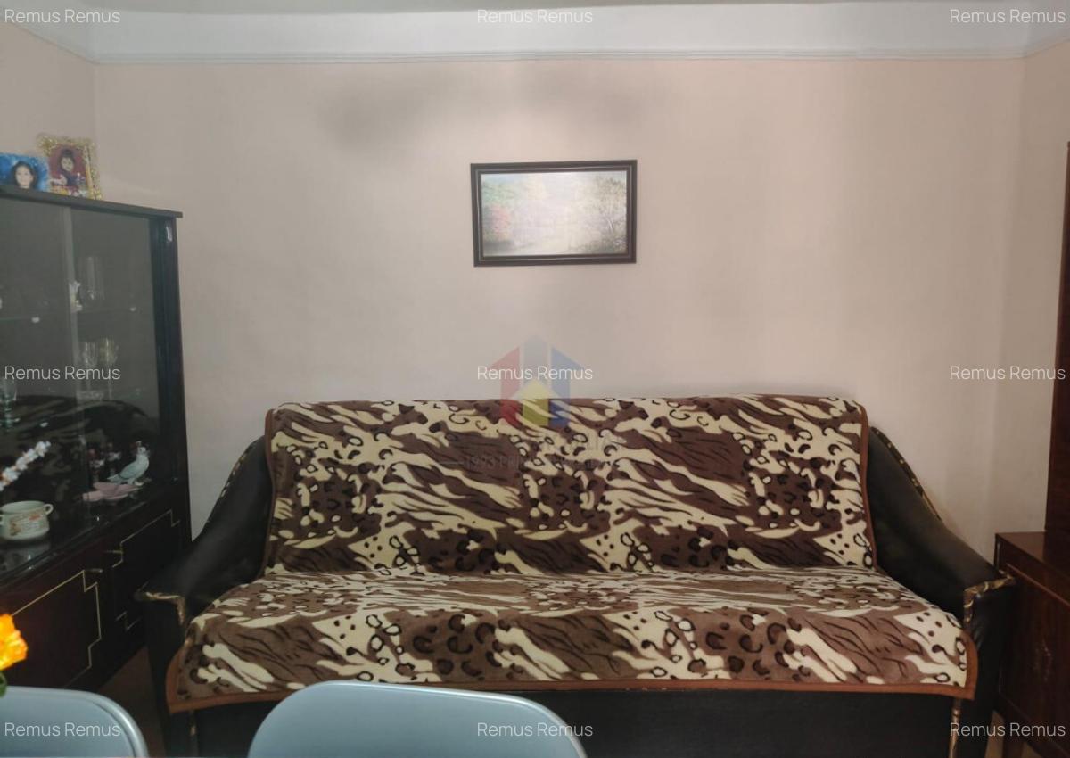 Casa 4 camere, Radu Negru, Teren - 264 mp - 1