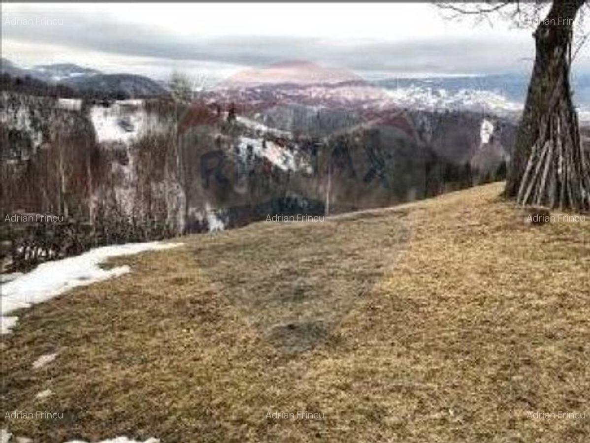Teren extravilan, 25066 mp, Moieciu - 10