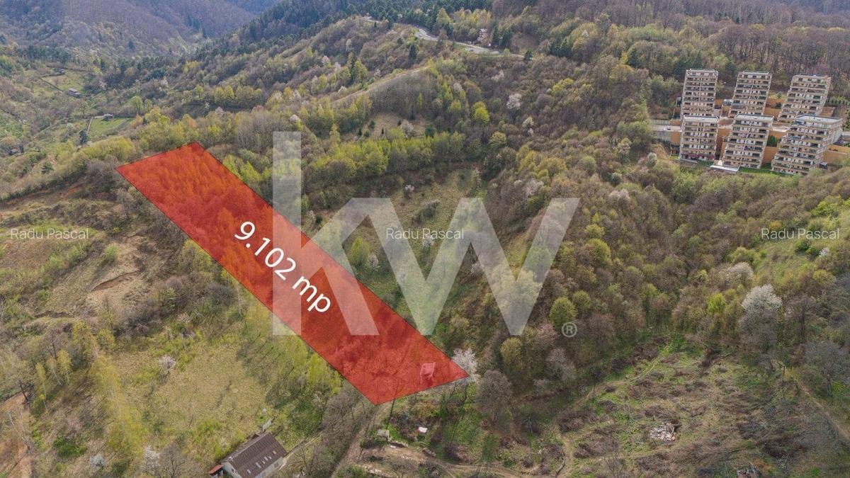 Teren Construcții intravilan de 9102 mp, în Drumul Poienii - 3