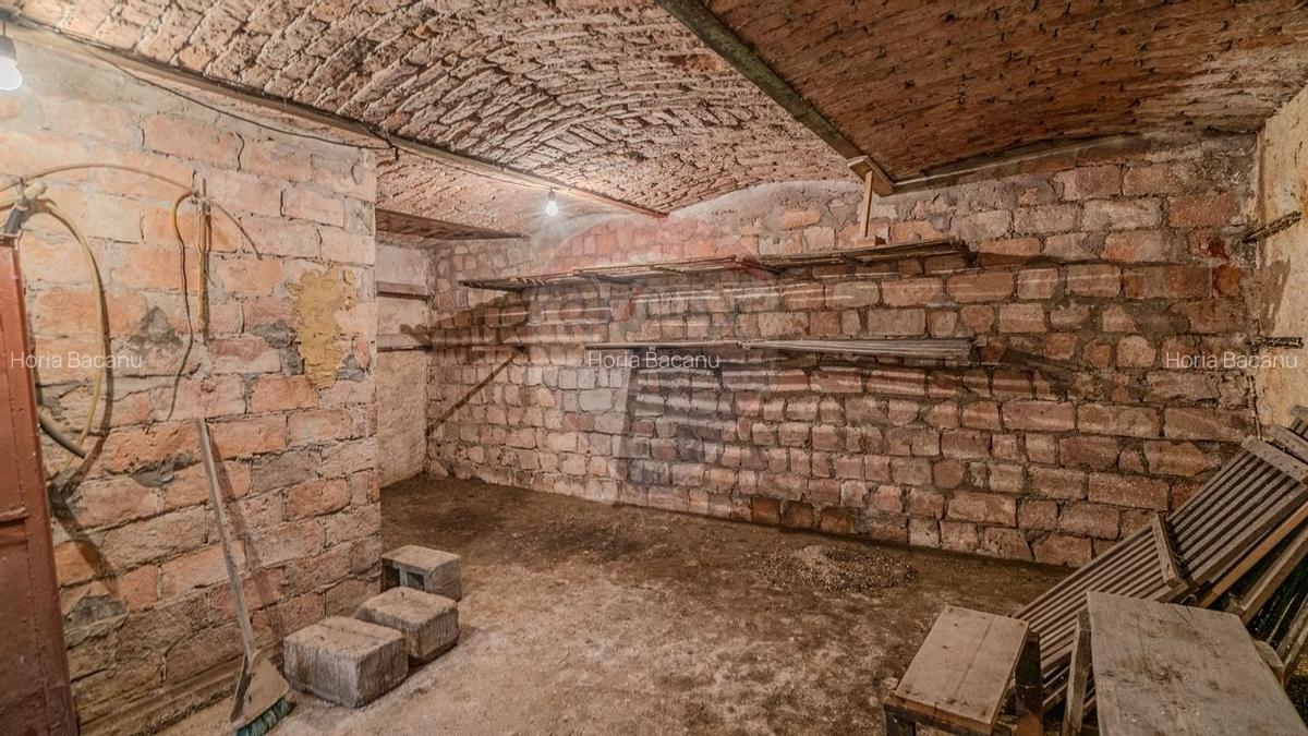 Comision 0 | Casa cu 3 camere, teren 1541 mp, livada, beci si garaj - 13