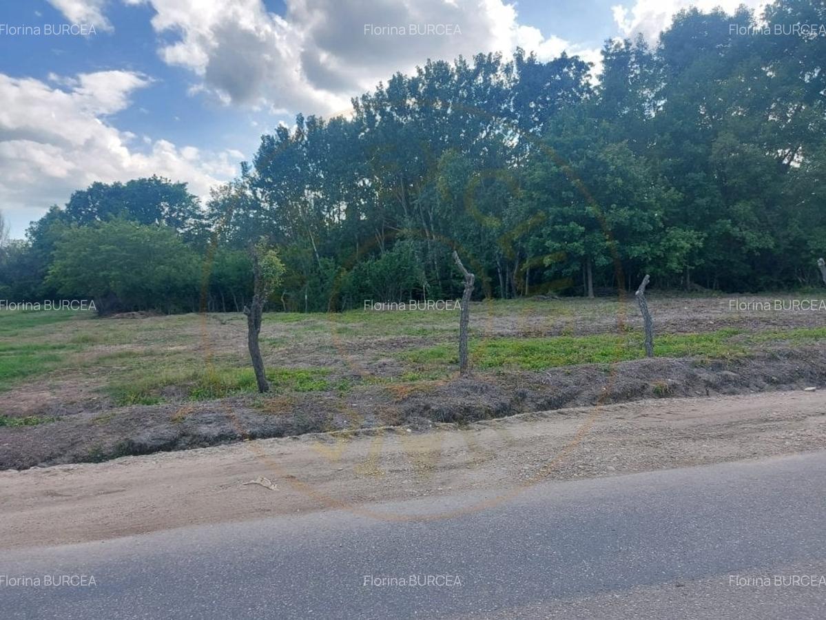 Teren intravilan 1843 mp - Cerbu/Albota/Arges - cu proiect de casa pe parter - 1