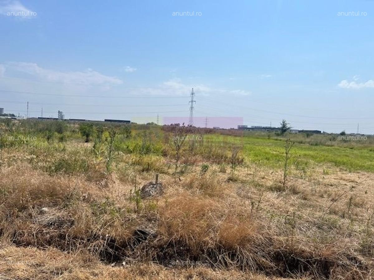 Teren Domnesti- Fortului - 1