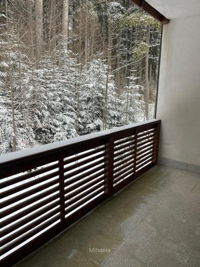Apartamente de Vacanta Partia Clabucet Predeal - 8