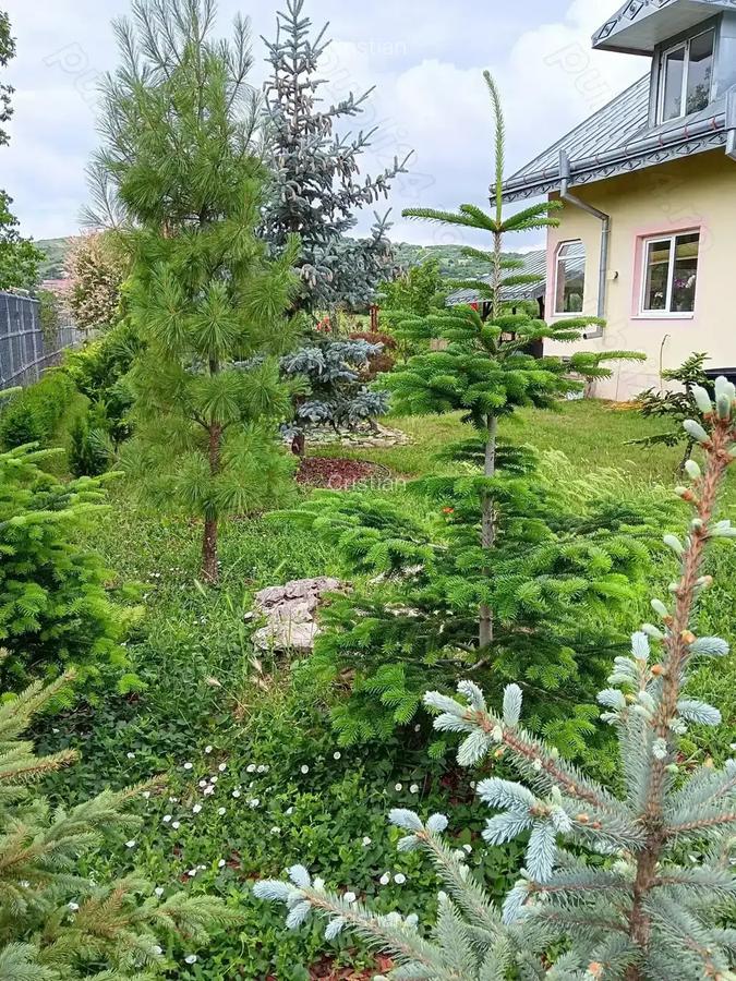 Urgent .Proprietar, parter la casa cu etaj, Mogosesti - Iasi, 10 km - 7