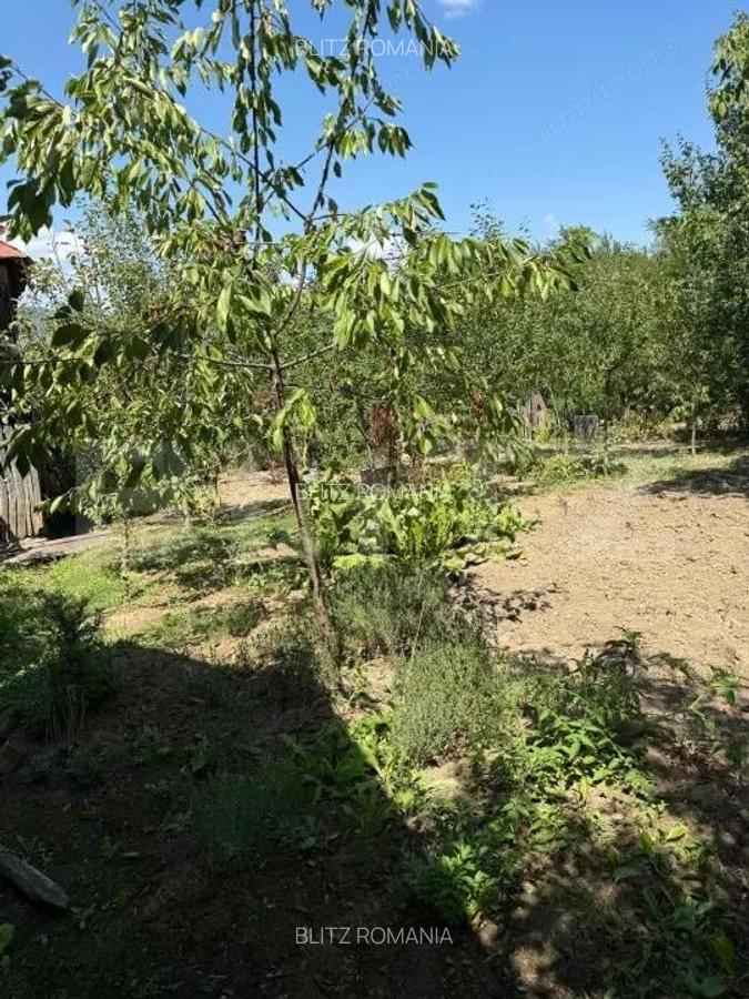 Casa cu teren 1000 m Drajna - 17