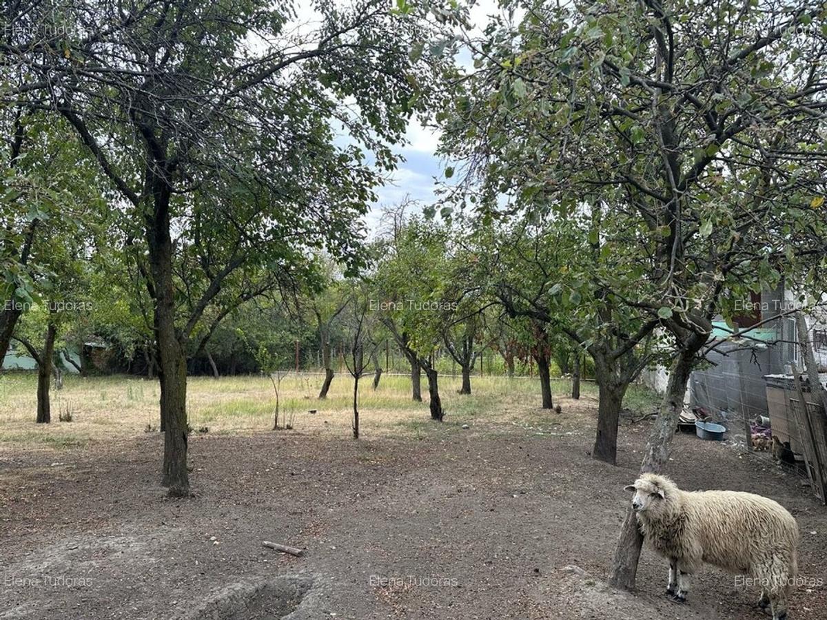 Stefanesti-sat Viișoara, Argeș, teren intravilan racordat la toate utilitățile - 7