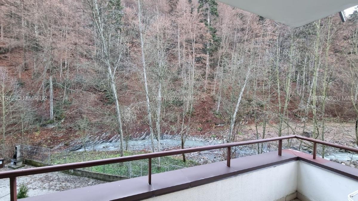 Apartament  2 camere Sinaia - 8