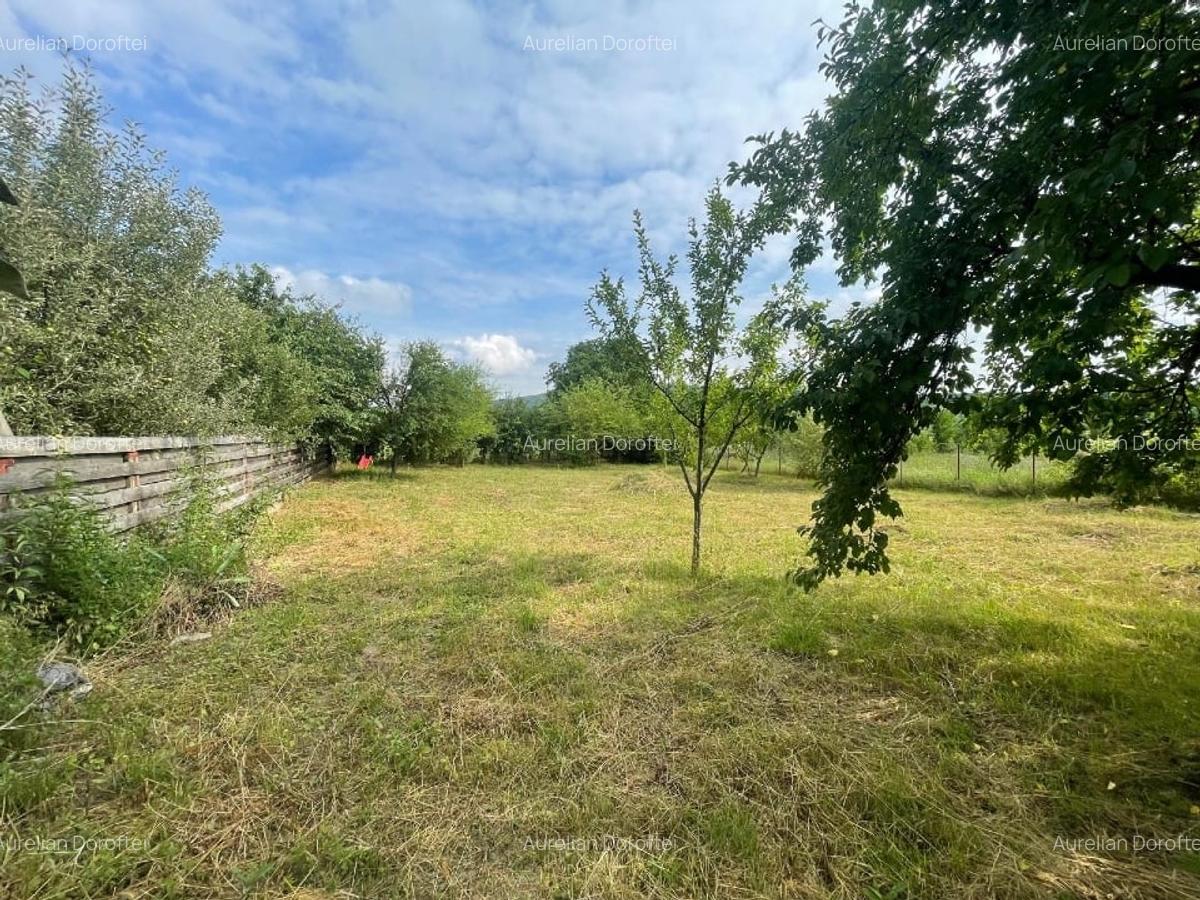 Teren intravilan 556mp Bârnova - pret negociabi - 3