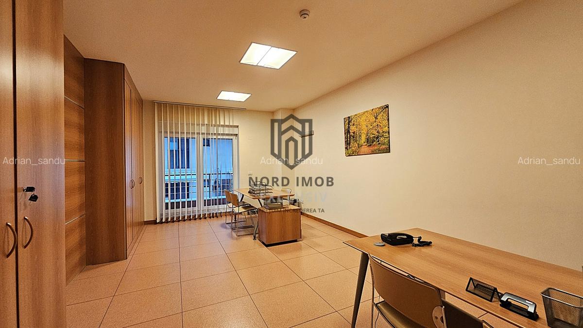OPORTUNITATE! Spatiu de birouri 6 camere | 266 mp | 5 Bai | 2 terase | Herastrau - 6