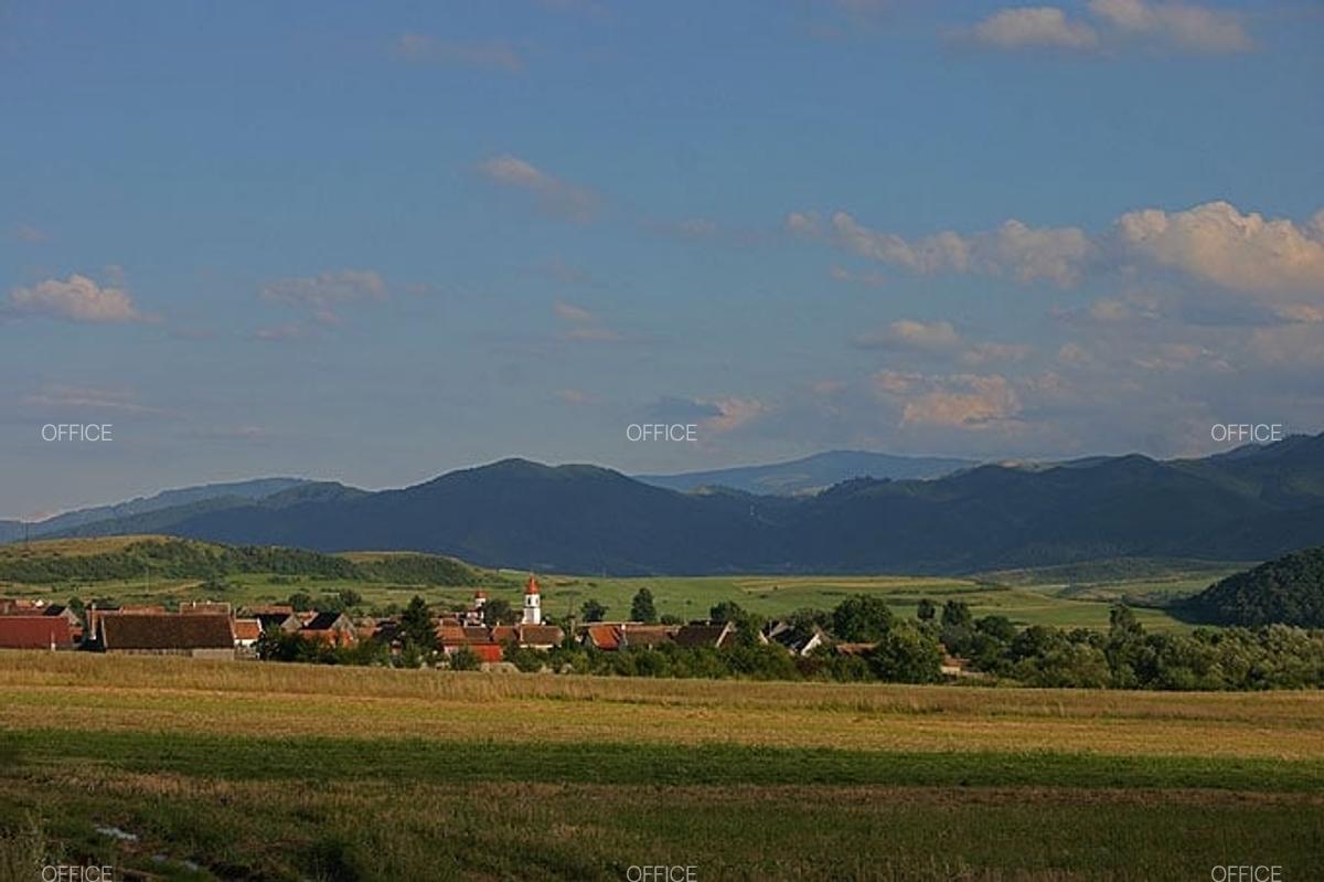 Teren intravilan 2.900 mp – oportunitate de investiție, acces direct la DJ 106D - 10