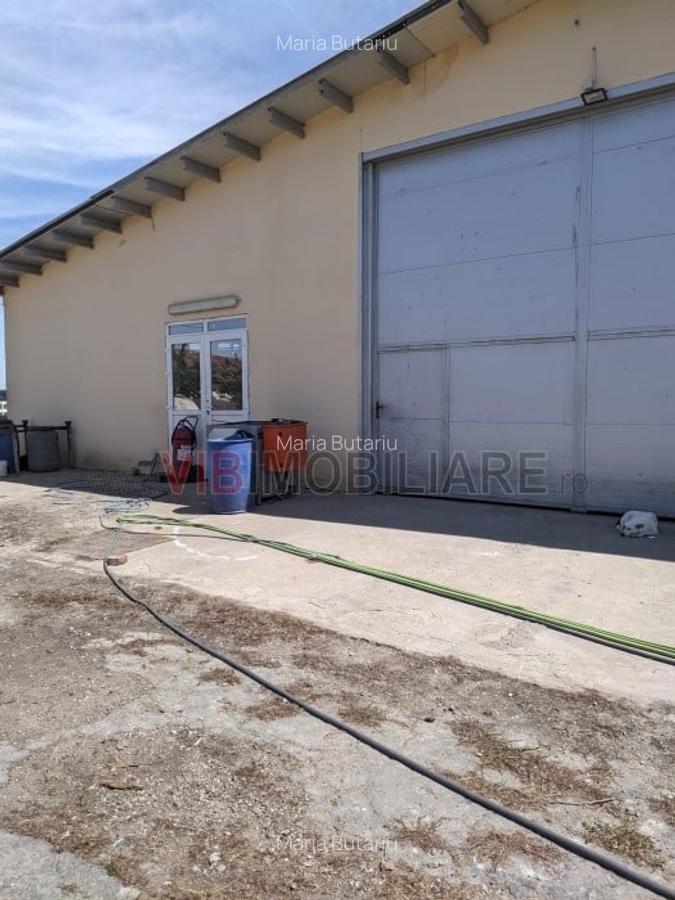 Ferma Zootehnică Mixtă – Cernateaz, Timiș | 9,5 ha | Hale Moderne, Casă 20 - 7