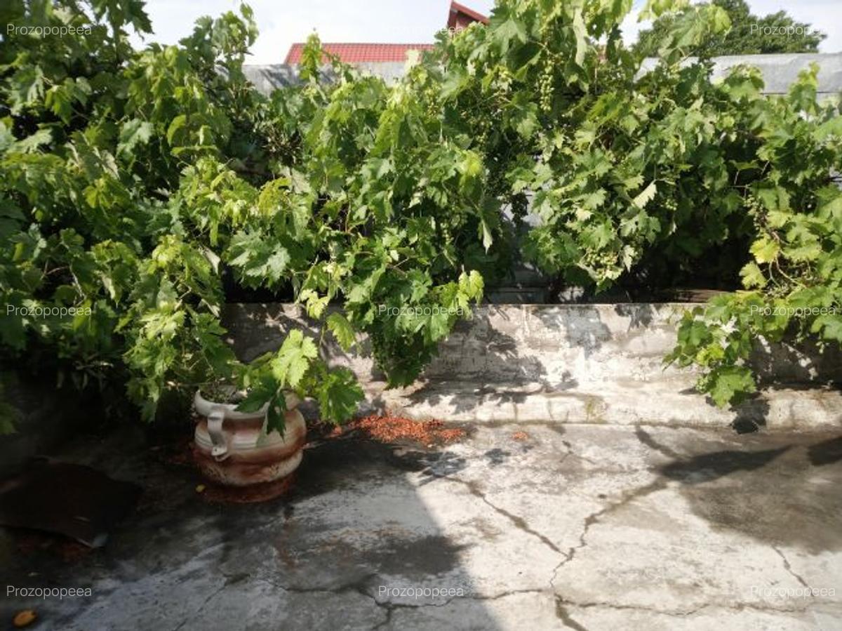 Vand casa pe strada Mihai Bravu - 1