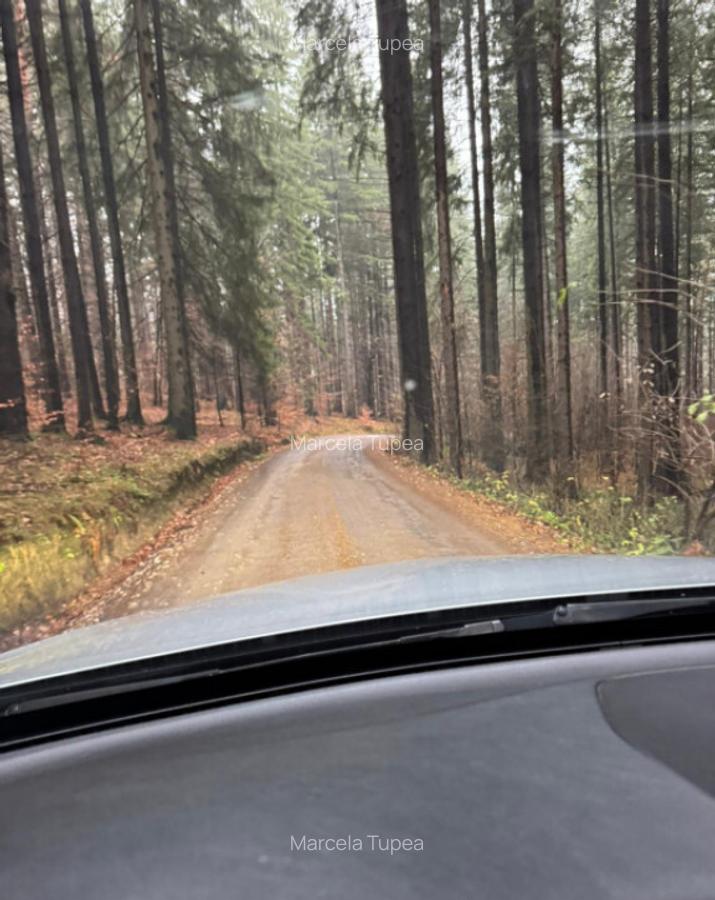 Teren Poiana Marului -Zarnesti -Brasov - 5