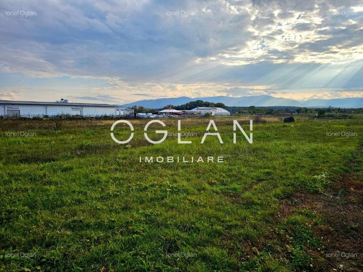 Teren Selimbar-DN1, comercial/industrial, COMISION 0% - 9