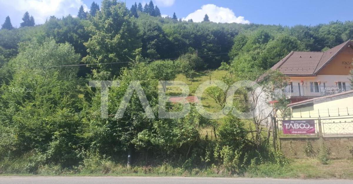 Teren 2500 mp la drum pe Valea Stezii Curmatura Rasinari - 7