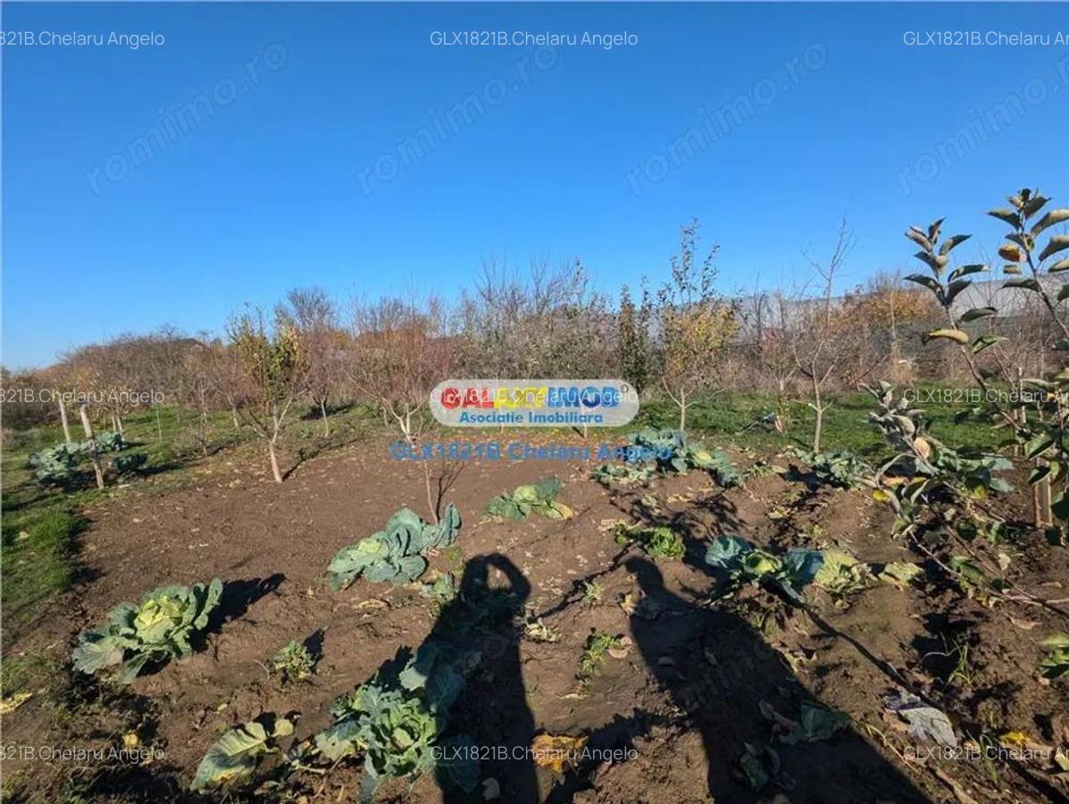 Adunatii Copaceni vila P+1 ,5 camere,suprafata 165 mp, teren 1300 mp - 14