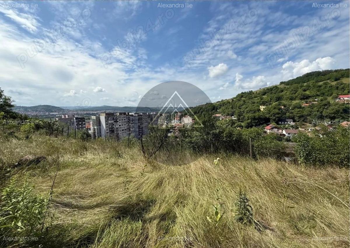 Teren Wewern, Medias - 5 Teren Wewern, Medias - 5