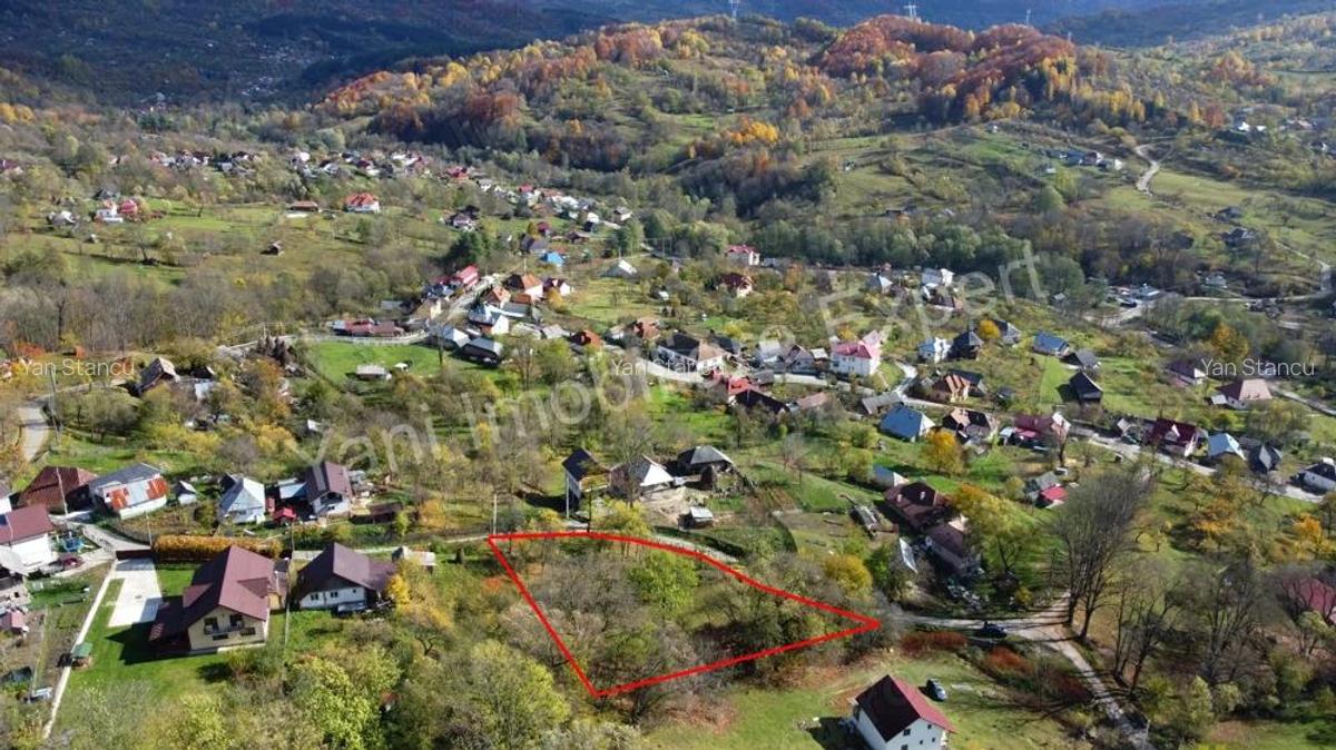 Teren de vanzare in comuna Arefu, jude? Arge?. - 5