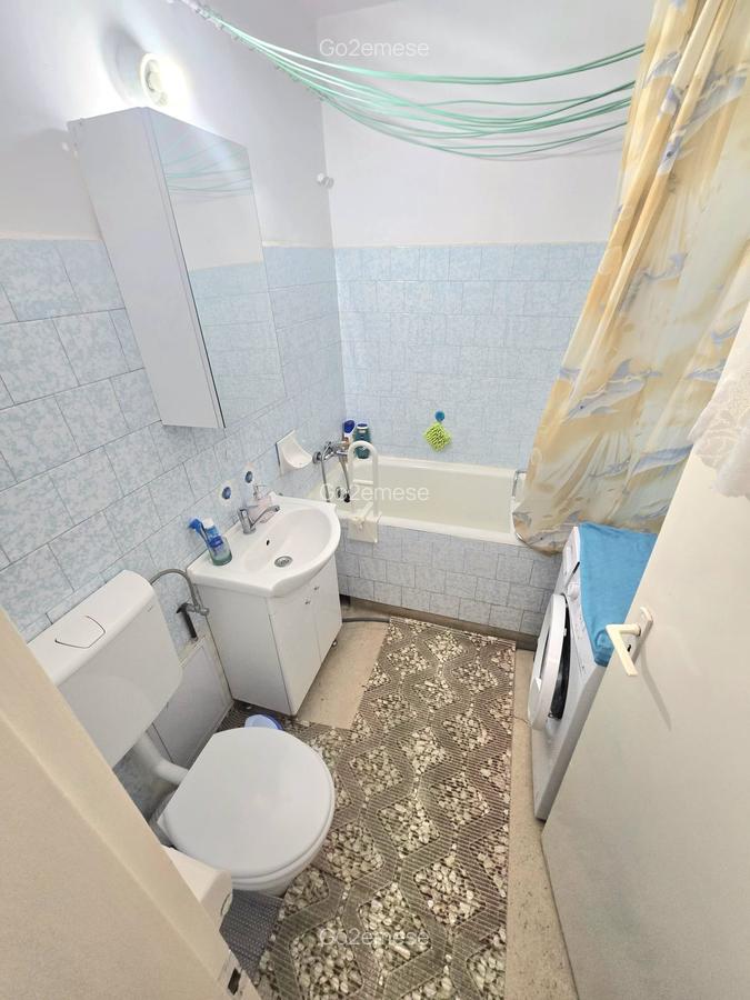 Apartament luminos 2 camere Grigorescu-Vlahuta, et. 3 - 6