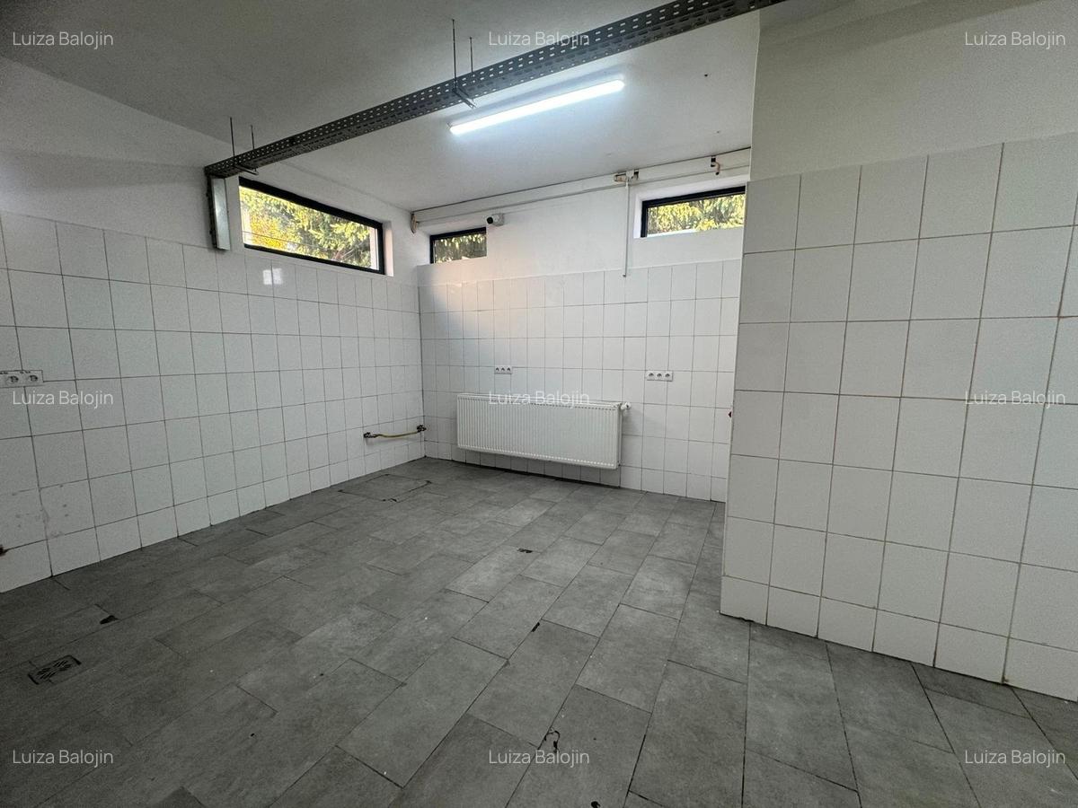 Spatiu cu alta destinatie Lipovei !!! - 3