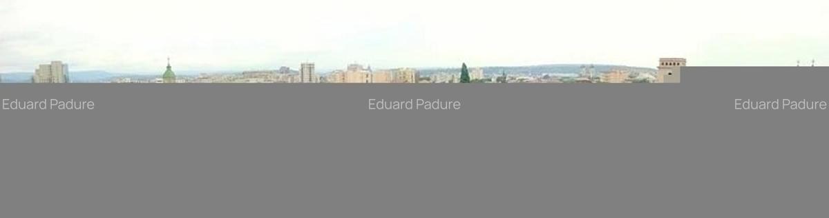 Apartament 2 camere -Targu Cucu- - 8