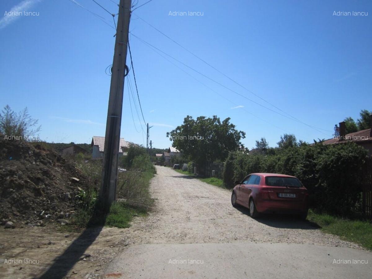 Domnesti Teghes-Padurarului - 2