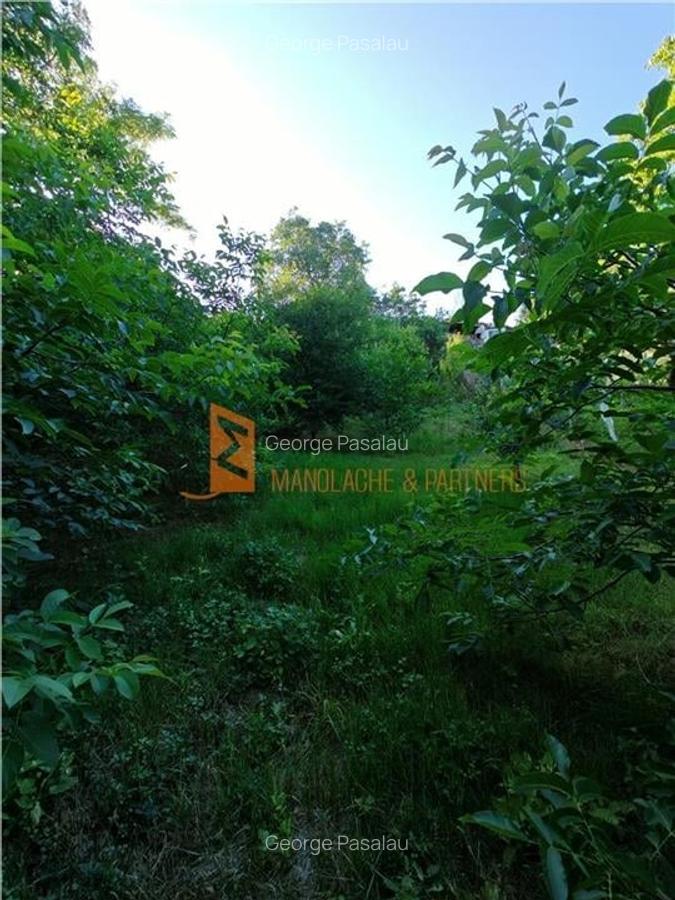 EXCLUSIVITATE! Casa+teren si cabana de lemn zona Naeni - 28