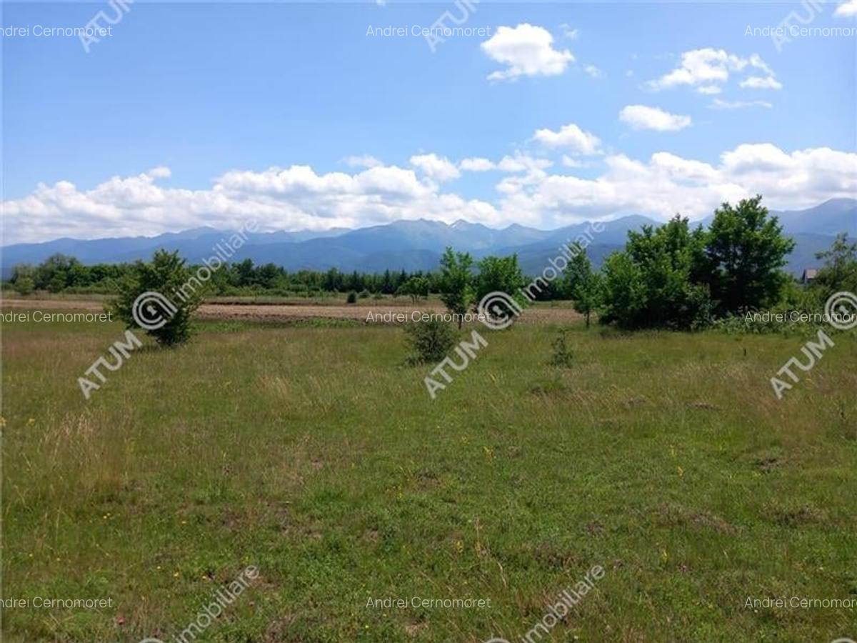 Teren intravilan 5000 mp pe Valea Avrigului, Sibiu - 7
