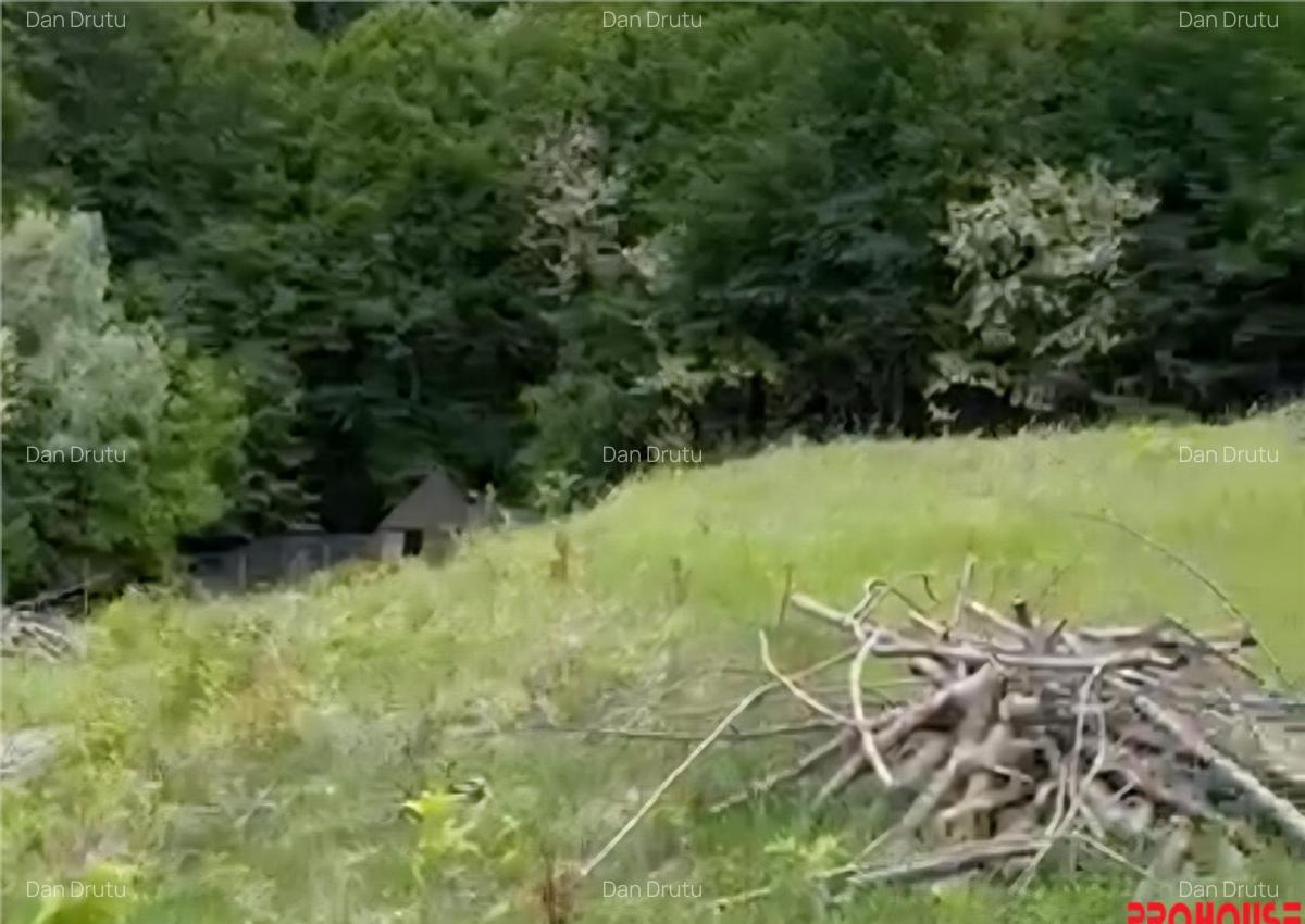 Valea Budului - Teren intravilan. Lac. Padure - 3