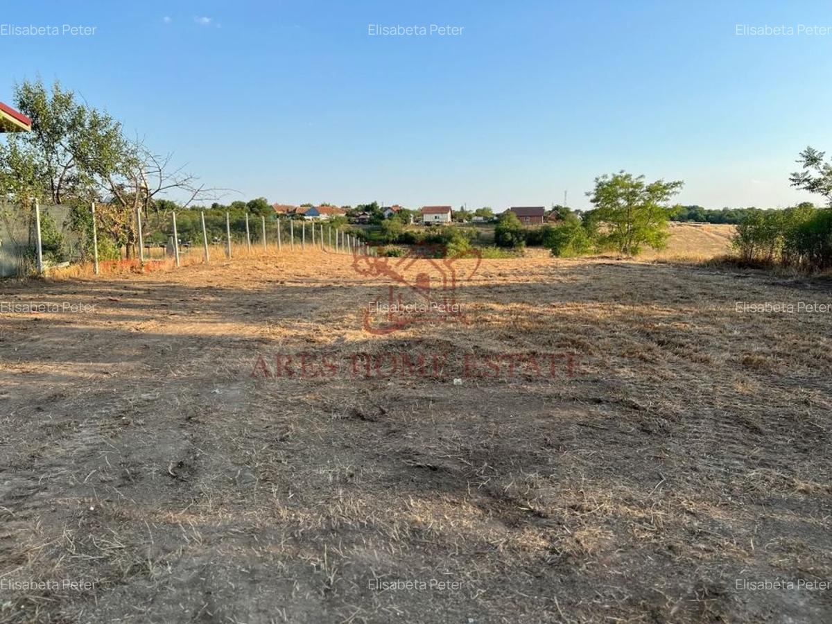Teren intravilan 2.192 mp cu front 20 m - Seceani, Timiș - 3