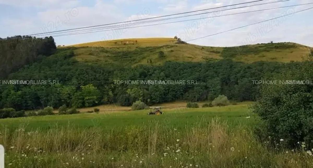 Exclusivitate! Teren intravilan in Luna de sus! - 4