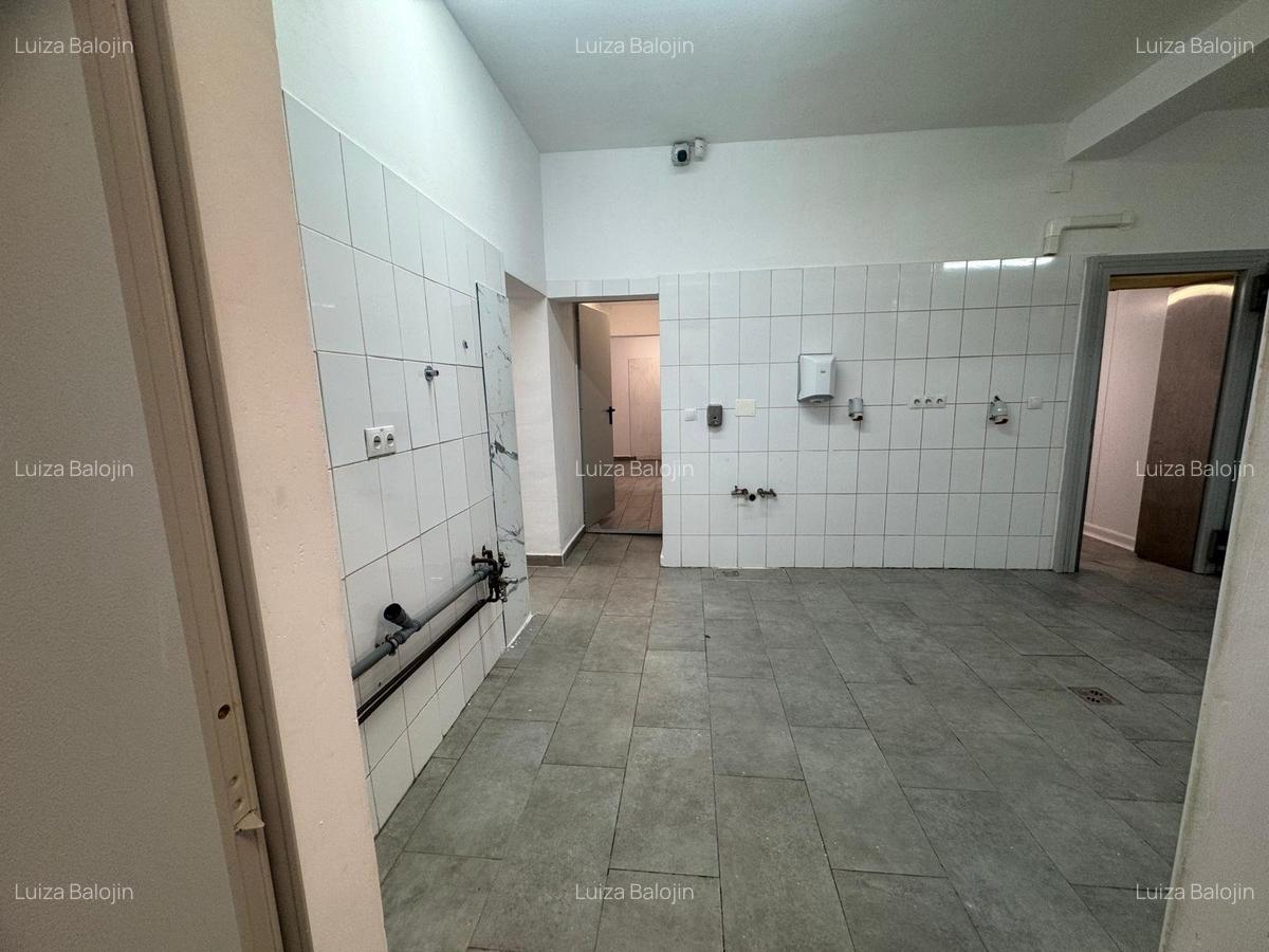 Spatiu cu alta destinatie Lipovei !!! - 7