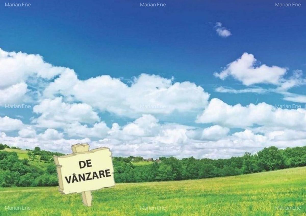 Teren intravilan curti constructii - sup. 1528 mp - str. ... - 1 Teren intravilan curti constructii - sup. 1528 mp - str. ... - 1