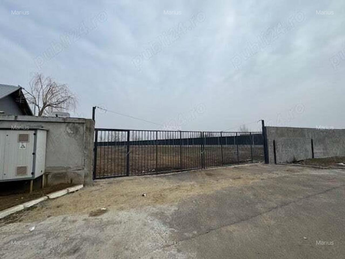 Teren intravilan Chitila , Ilfov - 1