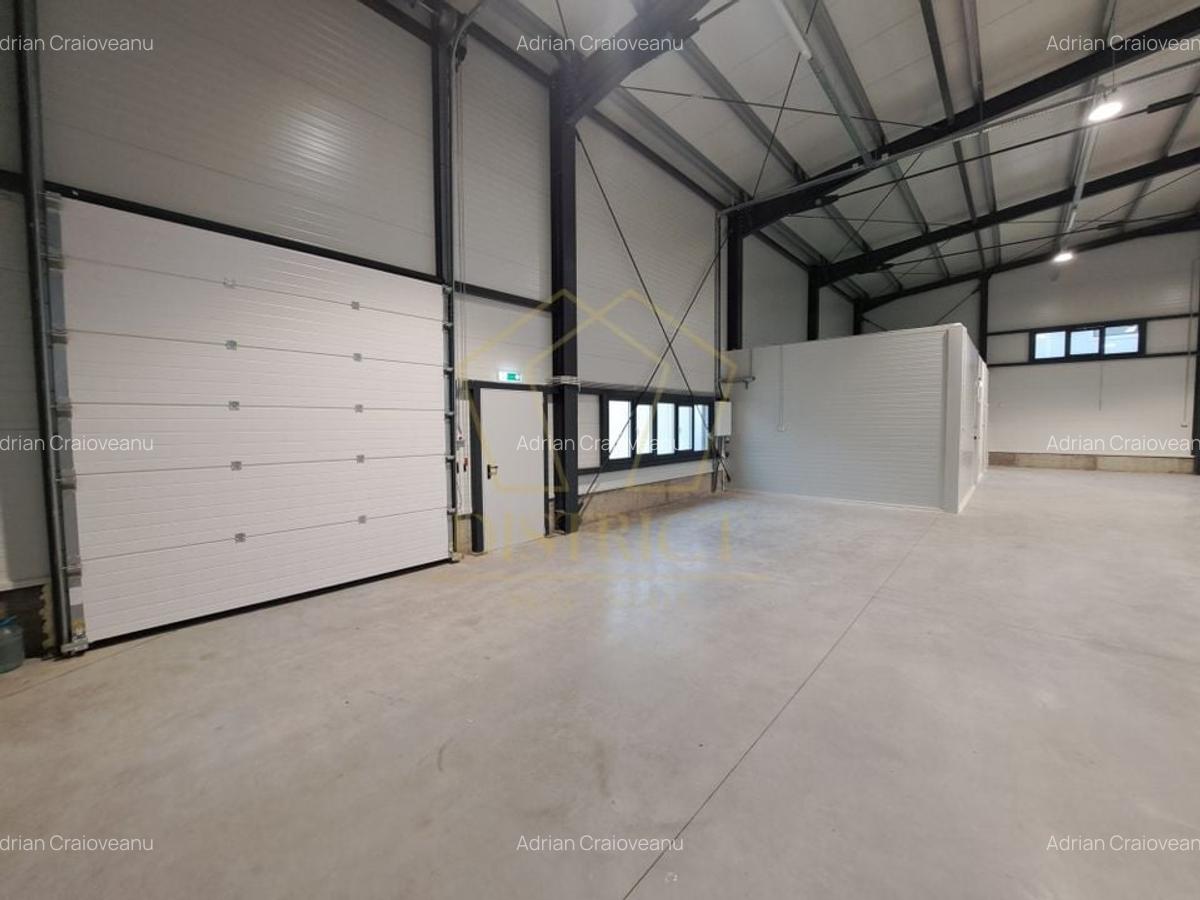 COM 0% Hale servicii, birouri și depozitare de inchiriat  | Giarmata-Vii - 3