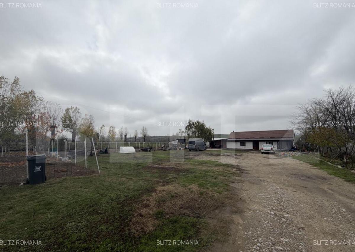 Teren intravilan agricol, sere, anexa agricola, 11500 mp ter - 10