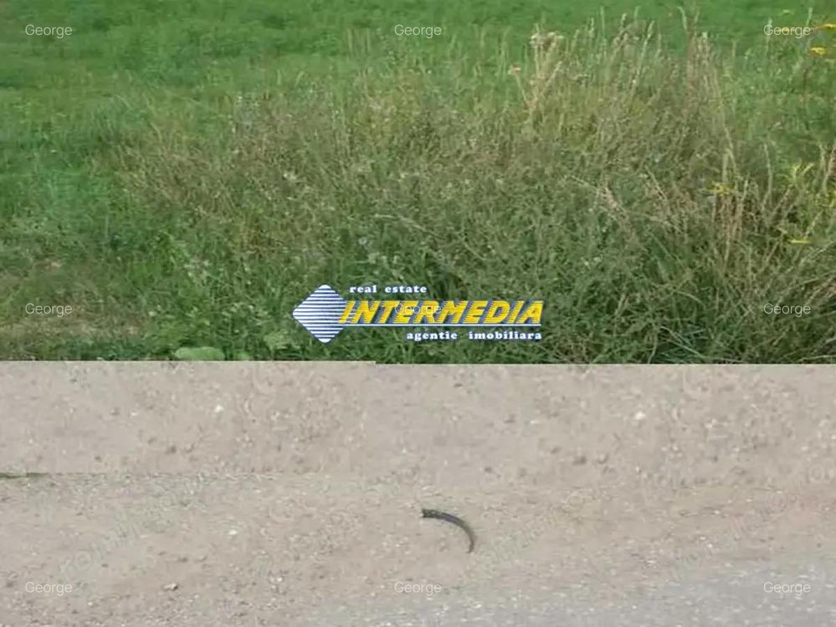 Teren Intravilan 600 mp. de vanzare Alba Micesti parcele diverse - 1