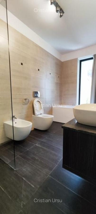 Baneasa- Padure- Greenfield - 12