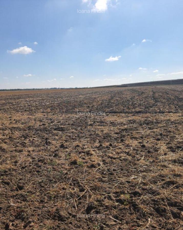 TEREN EXTRAVILAN 7.802 mp DOMNESTI, ILFOV - 3