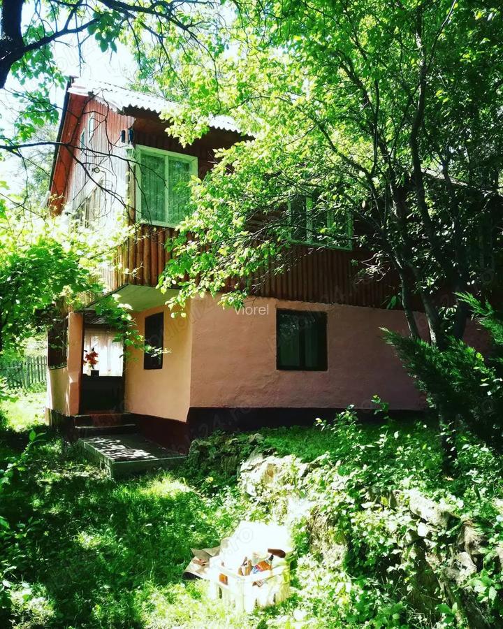 Casa vacan?a Bisoca sat Lopatareasa . - 5