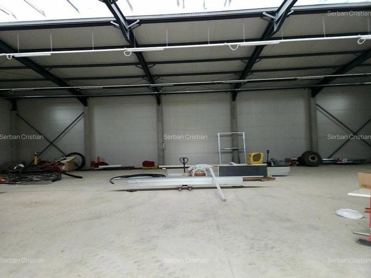 Pantelimon DN3 hala 600 mp - 9