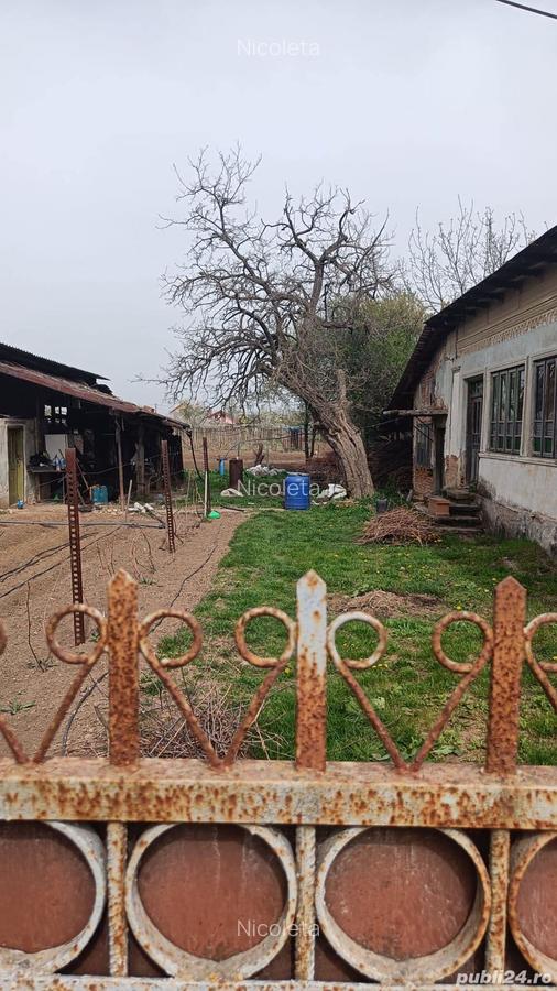 Vand Casa cu teren la COSOVENI, DOLJ - 5