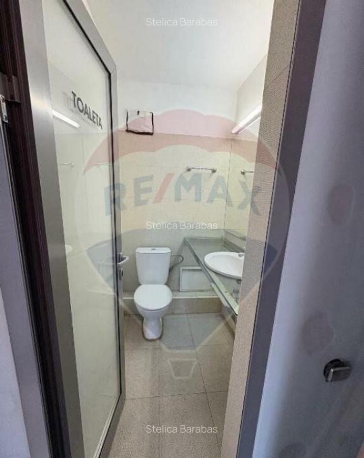 Inchiriere apartament birou 3 camere | Bd. Unirii | Trib... - 6