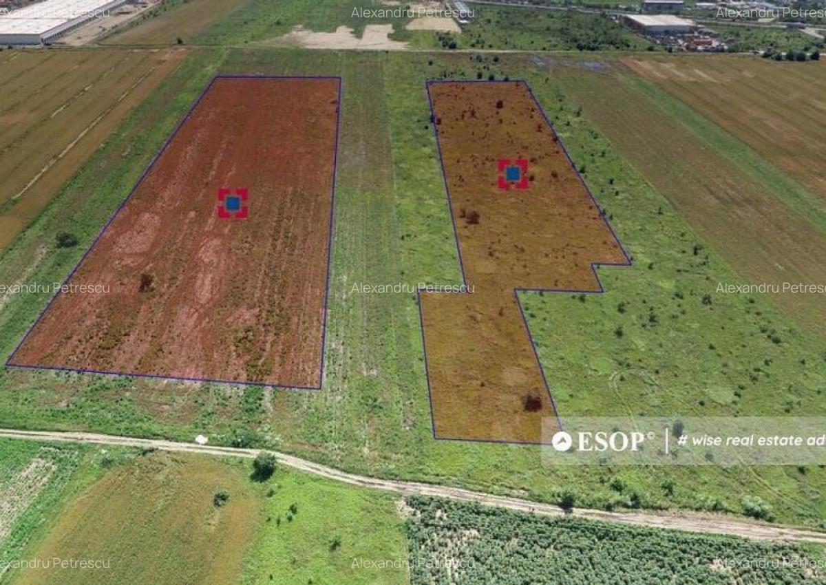 WDP Industrial Park Dragomiresti 2, spatii industriale, 5... - 6